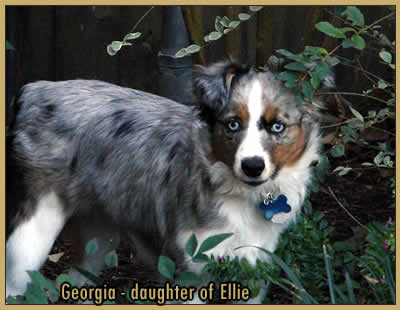 Georgia - daughter of Ellie